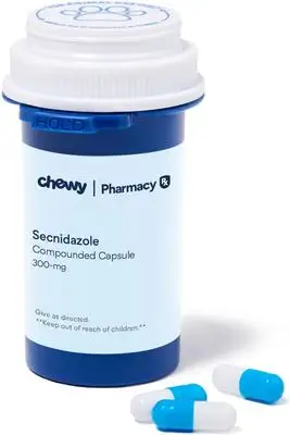 Secnidazole 1g pas cher — €1.41 le comprimé en France